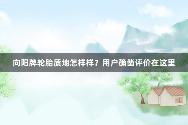 向阳牌轮胎质地怎样样？用户确凿评价在这里